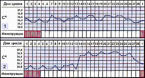 МЕНСТРУАЛЬНЫЙ ЦИКЛ