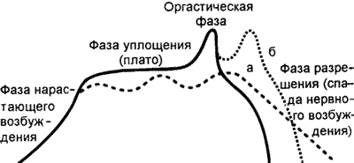 Пиковая кривая полового цикла человека