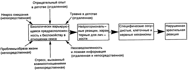 Этиологическая роль отдаленных и непосредственных сексуальных стрессов в формировании эректильной дисфункции