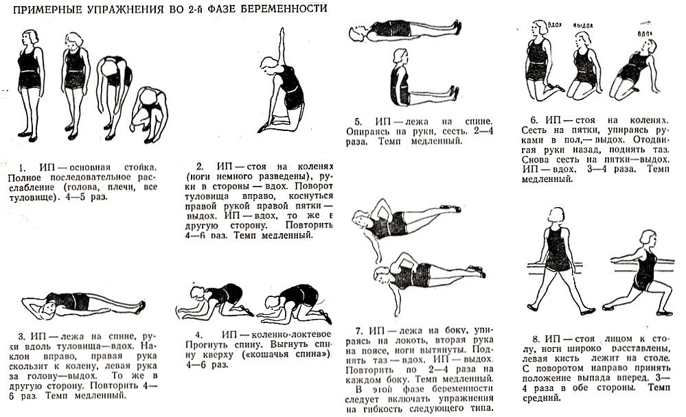 Гимнастика для беременных 2 триместр