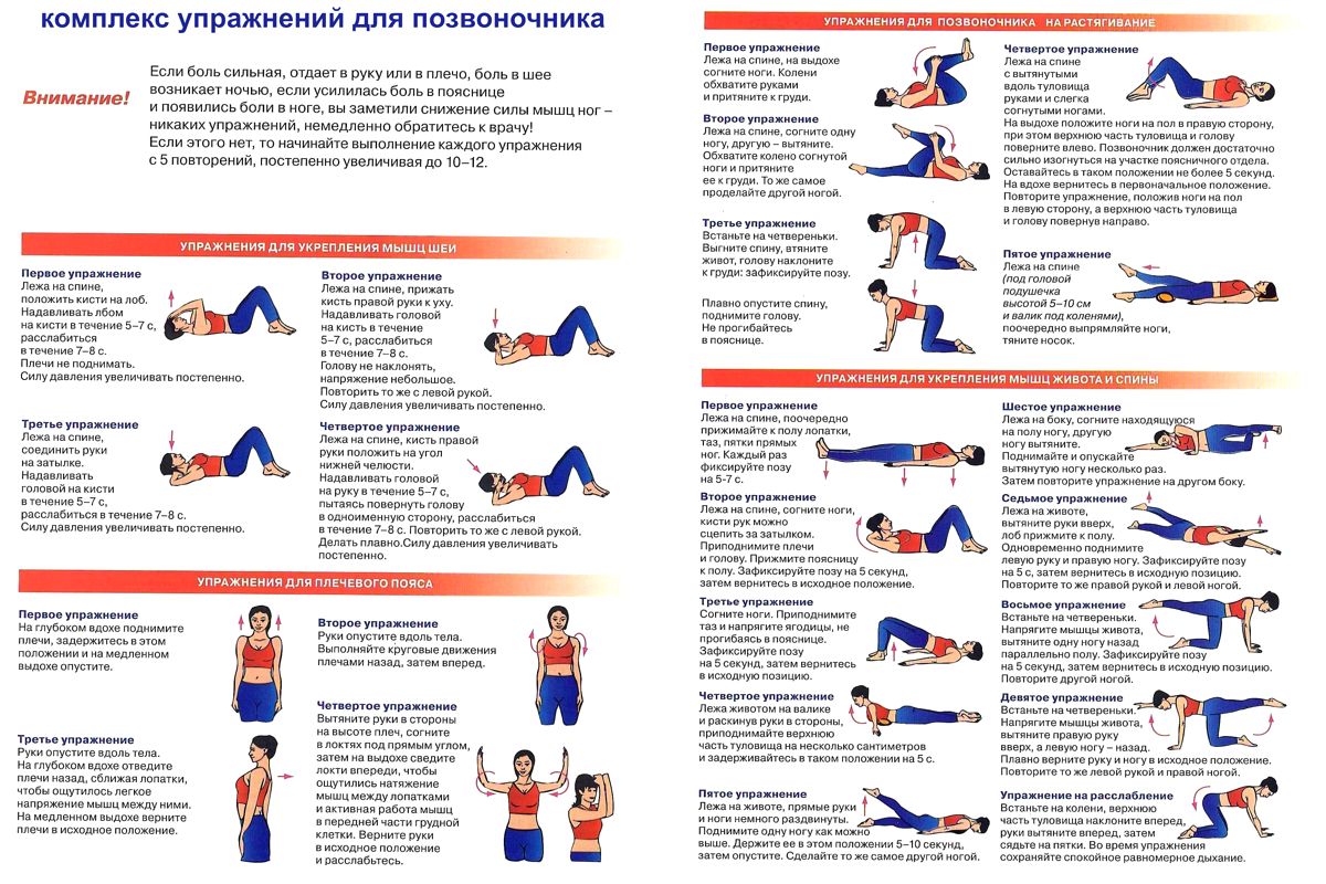 гимнастика для позвоночника 1