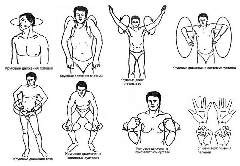 разминка перед суставной гимнастикой