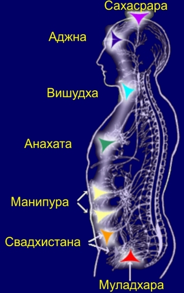 схема чакр, рисунок